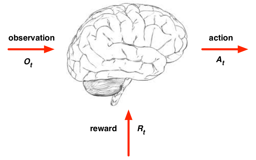 RewardHypothesis